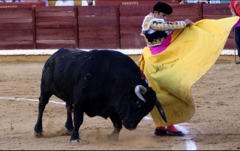 La ley regula la tenencia de animales domésticos y prohíbe los actos que impliquen sufrimiento o daño. EFE/ARCHIVO