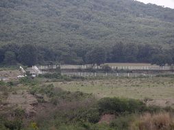 Las restricciones para entrar al bosque han arrojado resultados positivos, por lo que no descartó que se pueda repetir en los años siguientes. EL INFORMADOR/Archivo