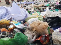 De acuerdo con Greenpeace, cada año, cien mil mamíferos marinos y un millón de aves mueren a causa de la ingesta de plásticos, por enredos, asfixia, estrangulación o desnutrición. NTX / ARCHIVO