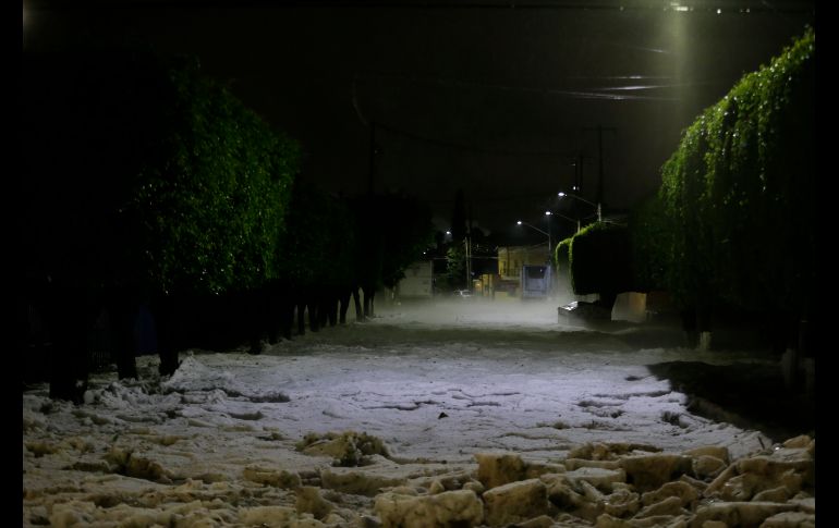 EL INFORMADOR/F. Atilano