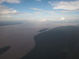 En el acumulado de 2019, Brasil vio una reducción de aproximadamente 1.5 veces el territorio de la ciudad de Sao Paulo, dos mil 273.6 kilómetros cuadrados. NOTIMEX/Archivo