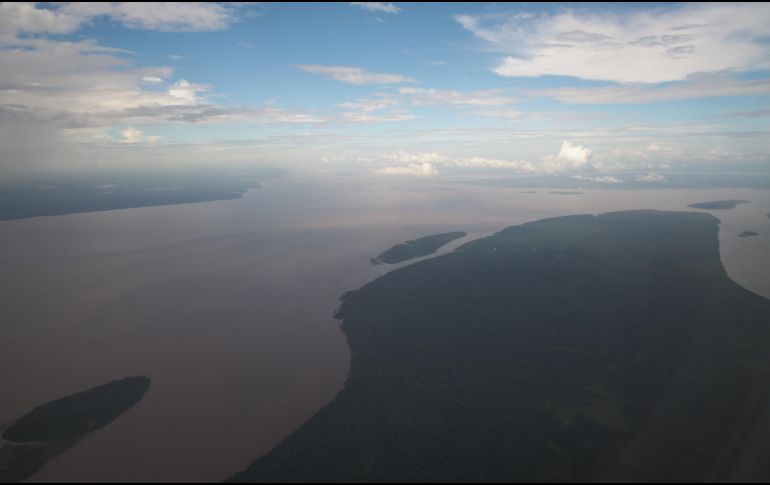 En el acumulado de 2019, Brasil vio una reducción de aproximadamente 1.5 veces el territorio de la ciudad de Sao Paulo, dos mil 273.6 kilómetros cuadrados. NOTIMEX/Archivo