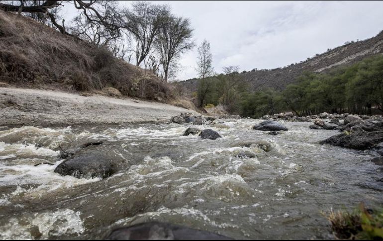 Se informa, además, que siete de los ocho fallecidos fueron ya identificados. EL INFORMADOR / ARCHIVO