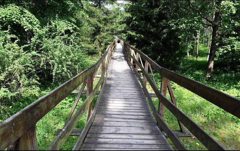 Una vista de la Reserva Natural Krzemionki Opatowskie, en Krzemionki, Polonia, la cual forma parte de la lista. EFE/P. Polak