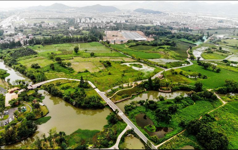 Las ruinas arqueológicas de la ciudad de Liangzhu, en China, forman parte del nuevo listado. AFP