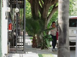 Postales como la de la foto son cada vez más constantes en la metrópoli. EL INFORMADOR / G. Gallo