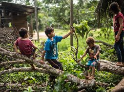 La mayor parte de los niños expuestos se encuentran en las regiones Cerro de Pasco y Junín, denuncian. AFP/ARCHIVO