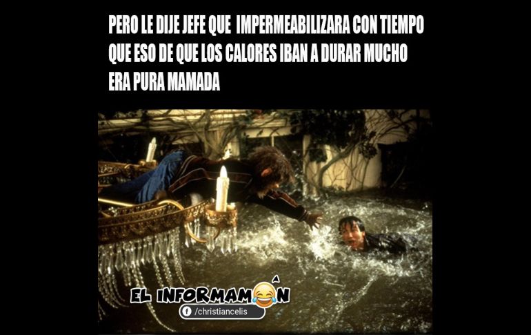 Después de la tempestad... llegan los memes