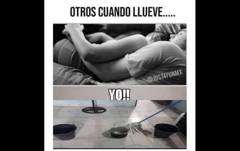 Después de la tempestad... llegan los memes