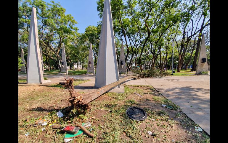 Al menos seis árboles fueron derribados por las ráfagas de viento y el flujo de agua tras la tormenta del lunes. EL INFORMADOR / S. Rodríguez