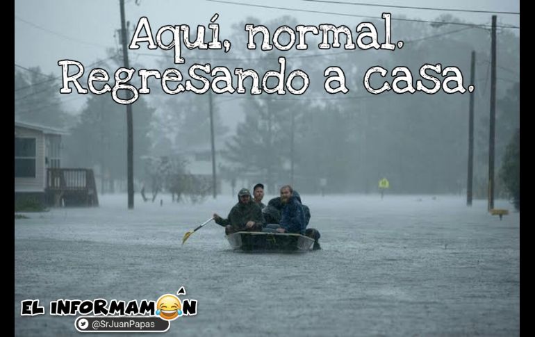 Después de la tempestad... llegan los memes