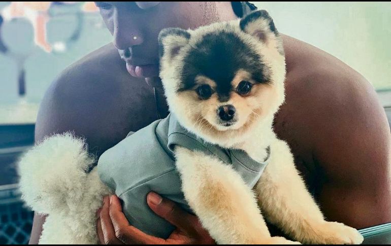 El ex jugador del Liverpool busca recuperar a su mascota. INSTAGRAM / @danielsturridge