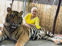 La Güera Salas con un tigre de bengala en Tailandia. 