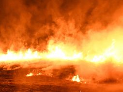 Los incendios son inusuales por la latitud y la intensidad que tienen. AFP/ARCHIVO