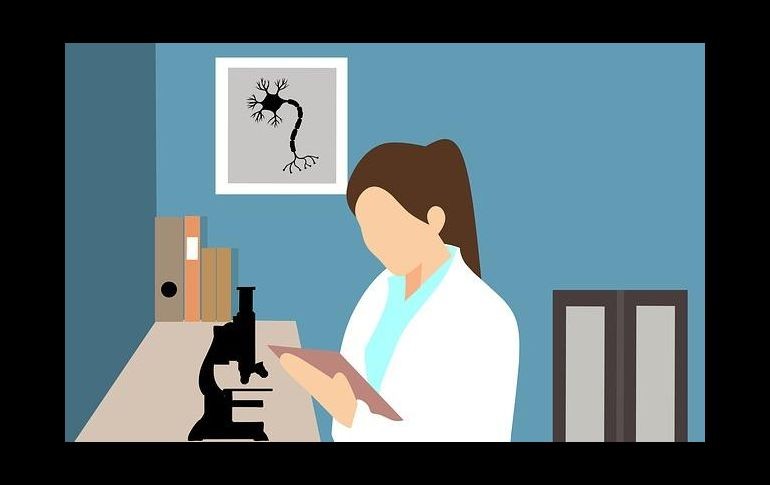 Internet y las redes sociales son la principal fuente de información sobre ciencia para las personas de 15 a 44 años. ESPECIAL