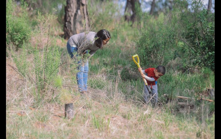 EL INFORMADOR/ G. Gallo