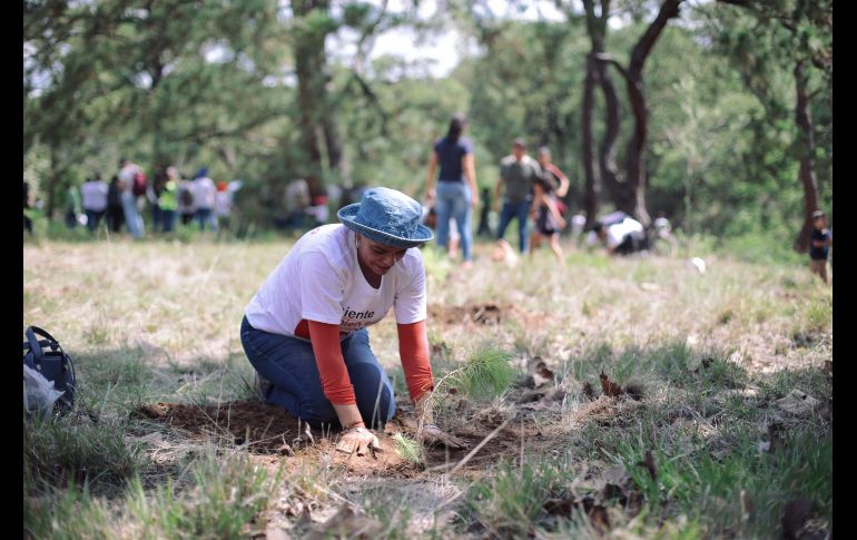 EL INFORMADOR/ G. Gallo
