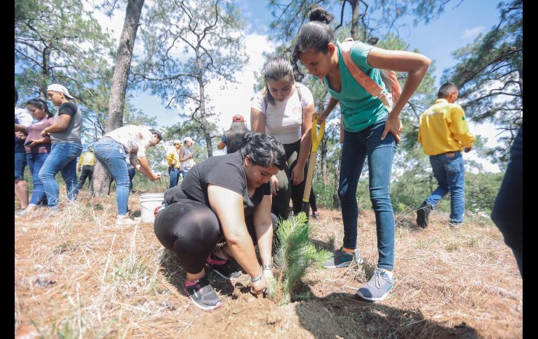 EL INFORMADOR/ G. Gallo