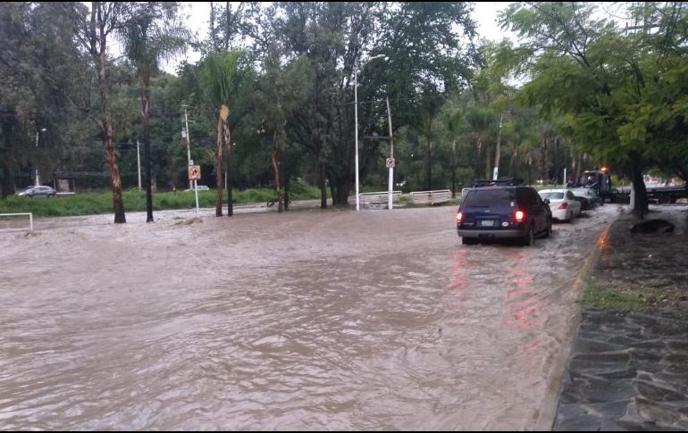ESPECIAL / Bomberos de Zapopan