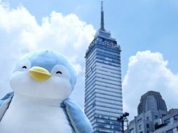 Sanborns informa que ha llegado a un acuerdo definitivo para suscribir en esta misma fecha un aumento de capital en Miniso BF Holding, representativo de 18.272% del capital social de esta última. FACEBOOK / MINISO México