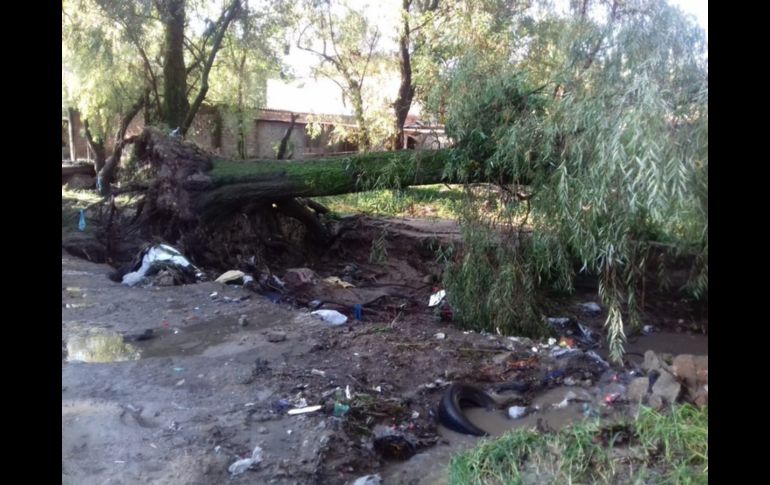 La lluvia arrastró lodo y dejó algunos árboles caídos. ESPECIAL/Protección Civil y Bomberos Zapopan