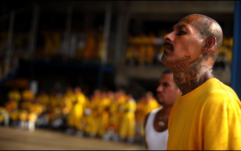 Acusan a varios pandilleros de desmembrar a machetazos a uno de sus rivales. AFP/ARCHIVO