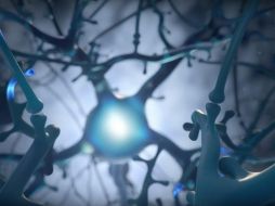 Musk asegura que la meta es que colocar uno de estos implantes en el cerebro sea un procedimiento tan simple como una cirugía láser de la vista; espera comenzar con personas el año que viene. ESPECIAL / Neuralink Launch Event