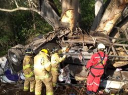 El percance ocurrió la mañana de este jueves en el kilómetro 60 de dicha vía, a la altura de Mesillas. FACEBOOK / Protección Civil y Bomberos de Nayarit
