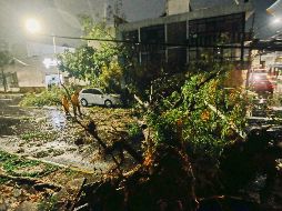 Solo diez de las declaratorias de desastre corresponden a la Zona Metropolitana de Guadalajara. EL INFORMADOR / G. Gallo