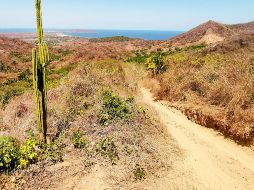 EL INFORMADOR / F. González