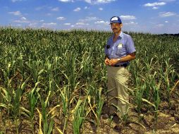El programa tiene como fin disminuir el flujo de migración irregular y brindarle a los guatemaltecos una oportunidad de empleo. AFP/ARCHIVO