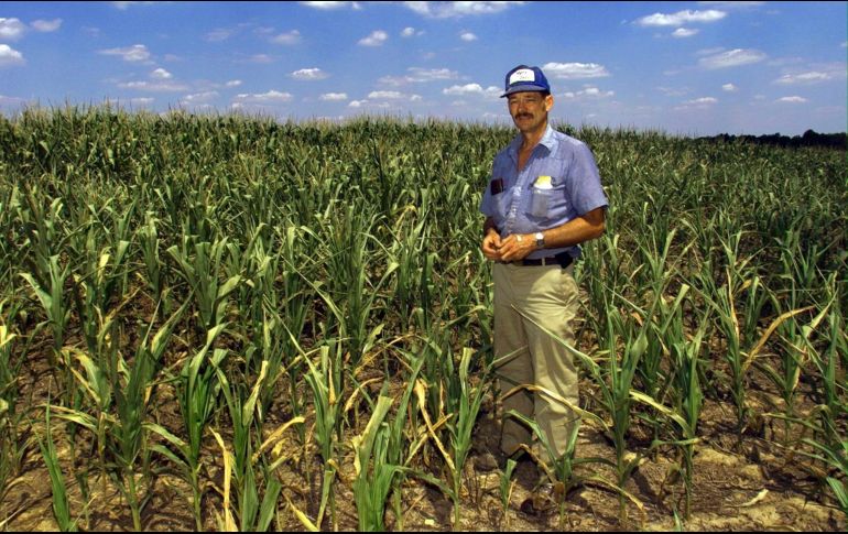 El programa tiene como fin disminuir el flujo de migración irregular y brindarle a los guatemaltecos una oportunidad de empleo. AFP/ARCHIVO