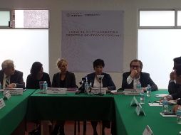 Bilak reconoce que es un avance el hecho de que el gobierno mexicano reconozca la existencia este problema. TWITTER/@RocioGonzalezH8