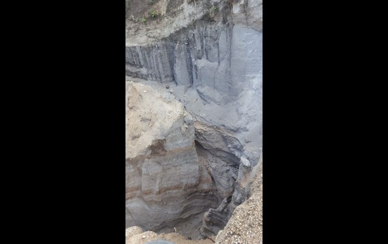 ESPECIAL/OPD Bosque La Primavera