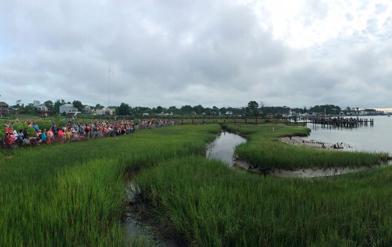 La gente siguió el evento desde la orilla; en ocasiones, sólo se pudieron ver las cabezas de los animales sobre el agua. AP/S. Holm