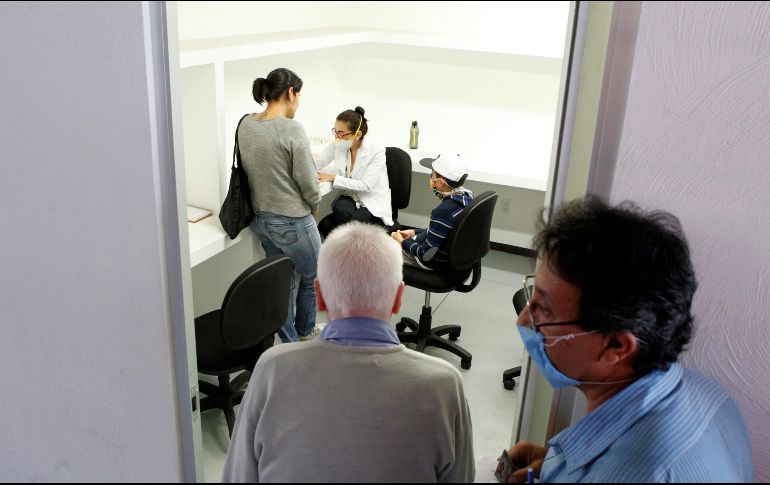 Los investigadores refieren que entre 2012 y 2015 surgieron versiones patógenas del hongo Candida auris de manera independiente en África, Asia y América del Sur, las cuales son de la misma especie, pero genéticamente distintas. EL INFORMADOR / ARCHIVO