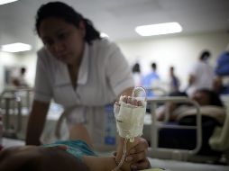 La OMS coordina una agenda de investigación mundial para encontrar evidencia científica del daño que ocasiona el cambio climático. EFE/Archivo