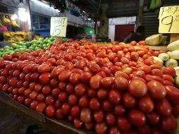 A junio se alcanzó una cosecha acumulada de un millón 336 mil 221 toneladas de jitomates. EL INFORMADOR/Archivo
