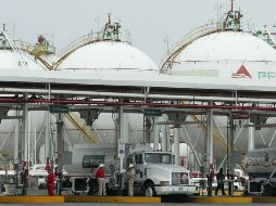 La empresa está siendo sometida a una reestructura para sanear sus finanzas. EL INFORMADOR/Archivo