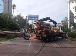 En Chapultepec e Hidalgo se presentó un cierre vial por la caída de un árbol, lo que generó un corto circuito y dejó sin luz la zona. TWITTER / @GuadalajaraGob