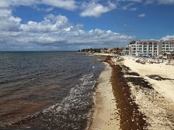 Entre las playas que aún no son limpiadas están Tulum, Cozumel y Otón Blanco. EFE / ARCHIVO