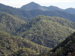 De acuerdo al agente especial que desde la oficina de la DEA en Los Ángeles busca a 