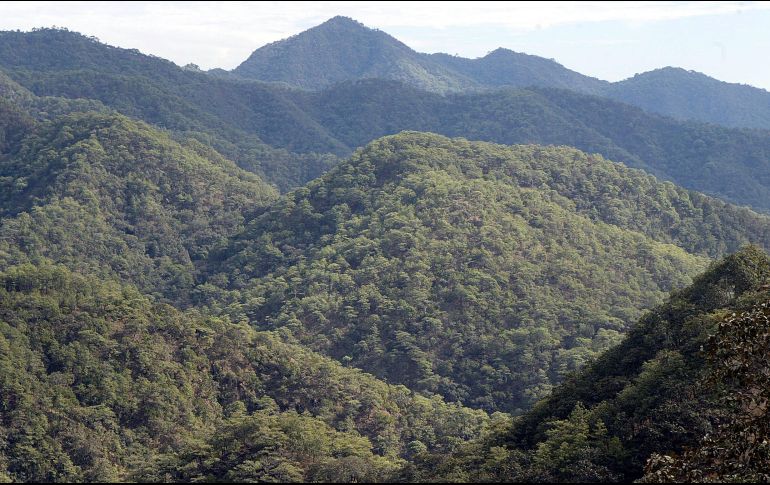 De acuerdo al agente especial que desde la oficina de la DEA en Los Ángeles busca a 