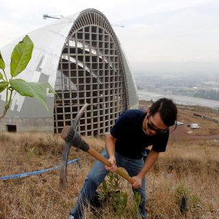 Plantan 200 árboles en el Cerro del Tesoro en Tlaquepaque