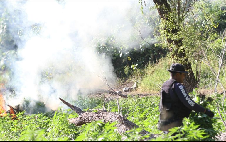 La droga pesaba casi dos toneladas y media. ARCHIVO / EL INFORMADOR