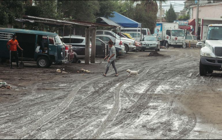 EL INFORMADOR / G. Gallo