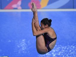El resultado obtenido en los Juegos de Lima 2019 le muestra a Paola lo que tiene que mejorar para llegar más preparada a los los Juegos Olímpicos de Tokio. IMAGO7