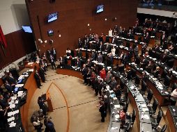 El registro para participar en la actividad estará abierto del 5 al 15 de agosto. EL INFORMADOR/ARCHIVO