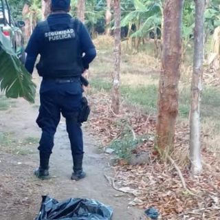 Hallan cinco cuerpos embolsados en Veracruz