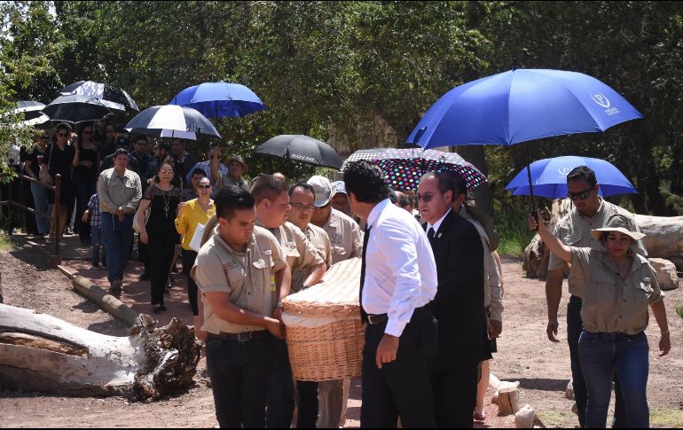Los restos de la maestra Elsa Mendoza, una de las ocho víctimas mortales mexicanas en el tiroteo, fueron sepultados ayer en Ciudad Juárez. EFE/ARCHIVO